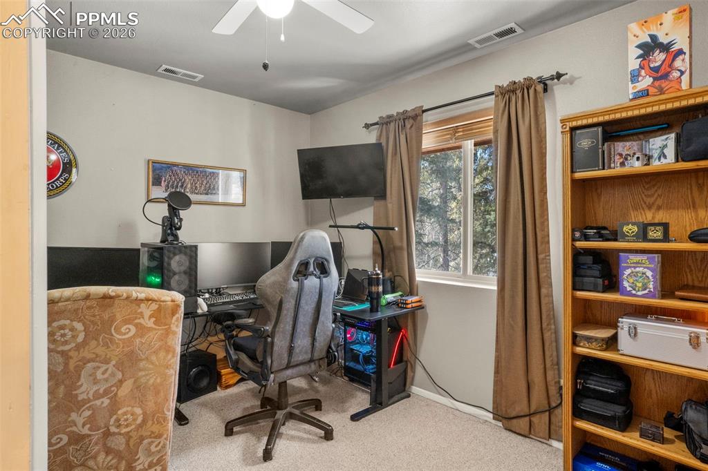 4076 Omer Lane Divide CO 80814
