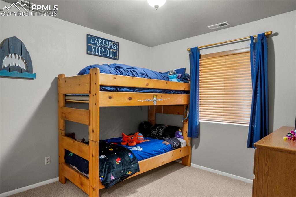 4076 Omer Lane Divide CO 80814