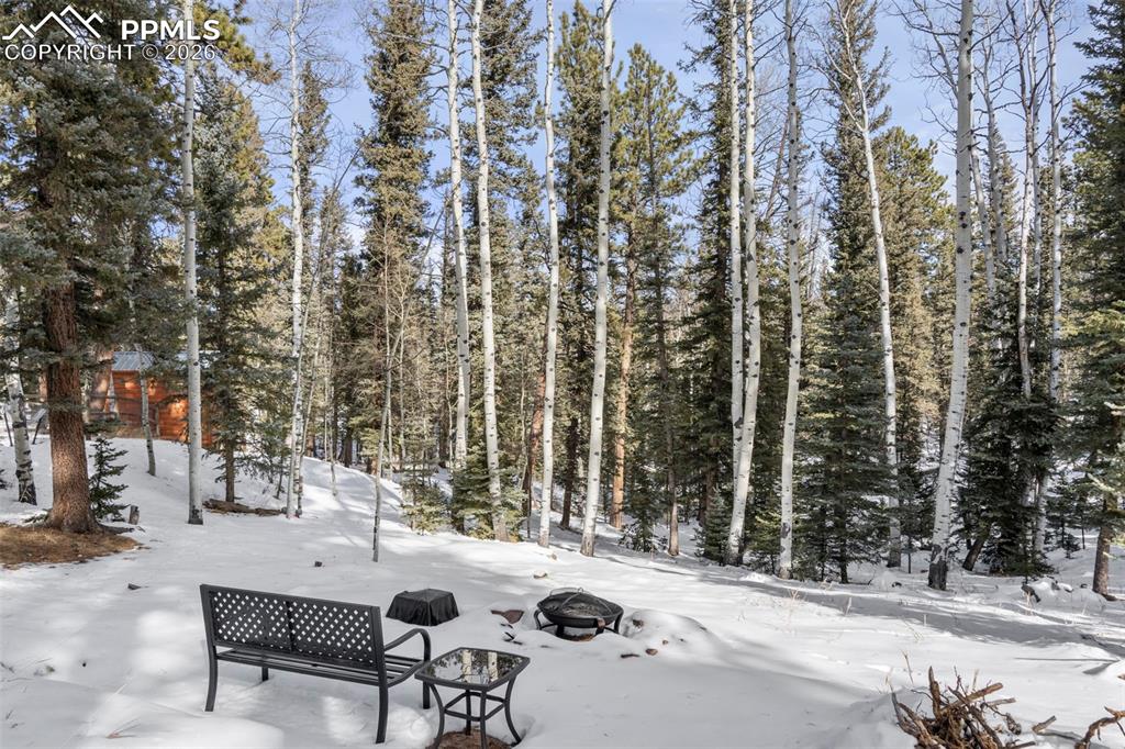 4076 Omer Lane Divide CO 80814
