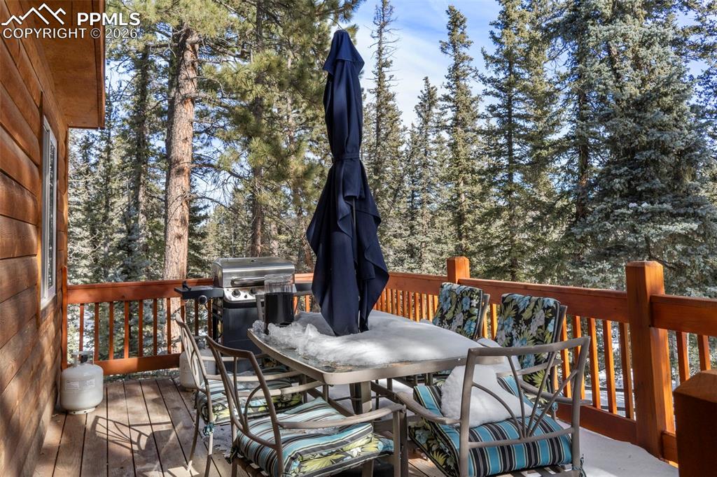 4076 Omer Lane Divide CO 80814