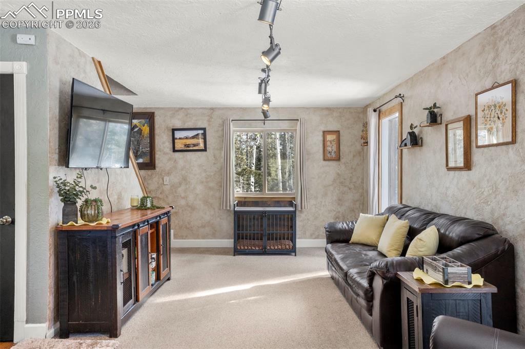 4076 Omer Lane Divide CO 80814