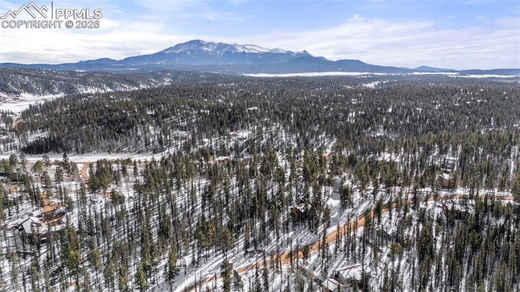 4076 Omer Lane Divide CO 80814