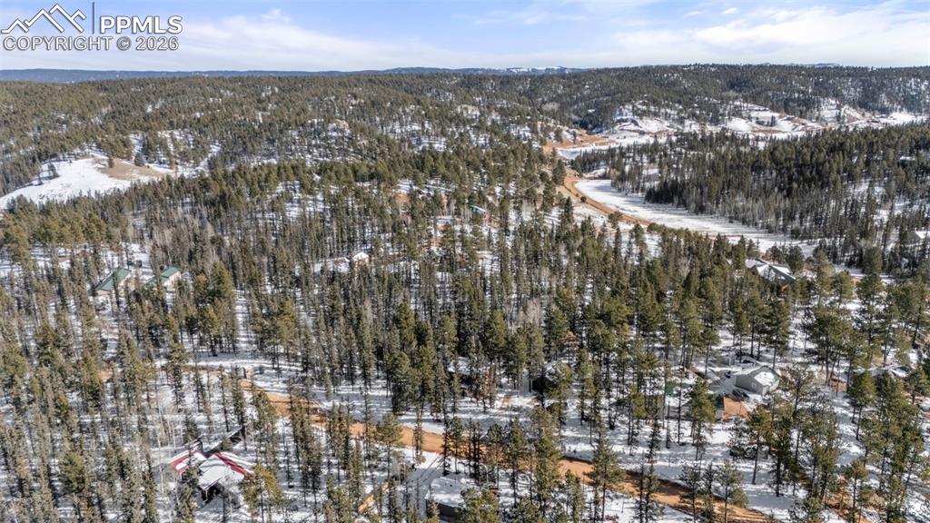 4076 Omer Lane Divide CO 80814