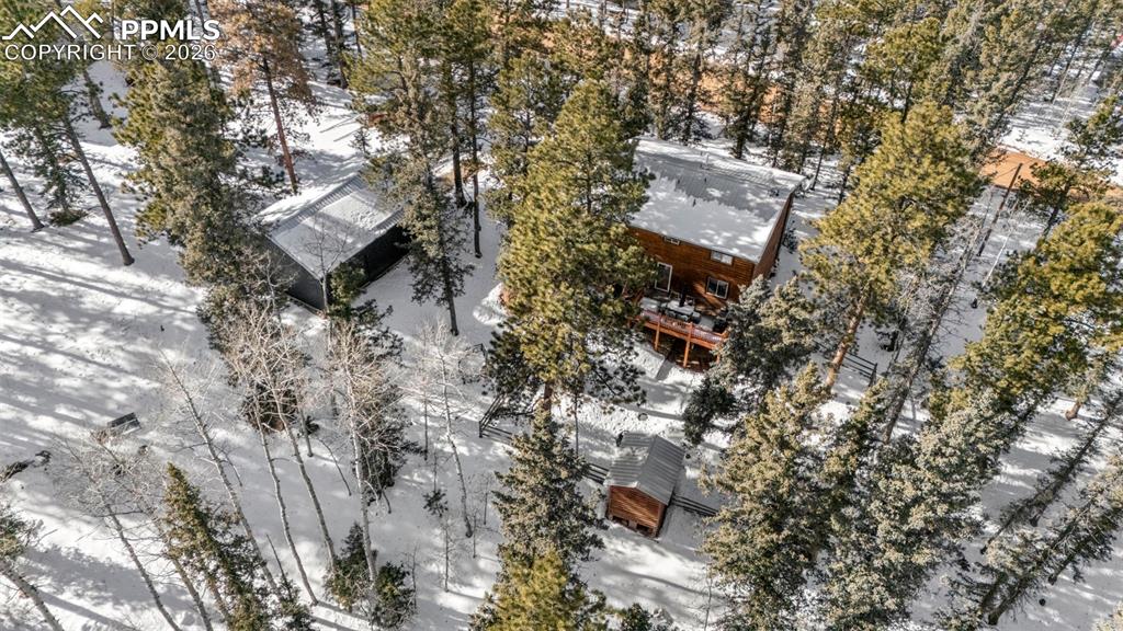 4076 Omer Lane Divide CO 80814