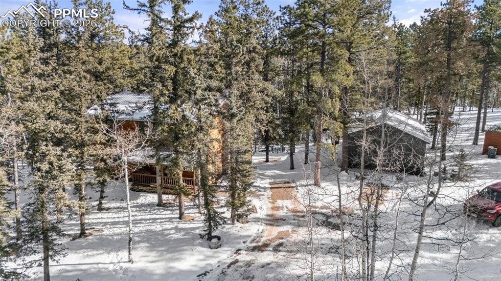 4076 Omer Lane Divide CO 80814