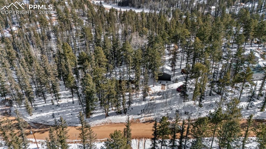 4076 Omer Lane Divide CO 80814