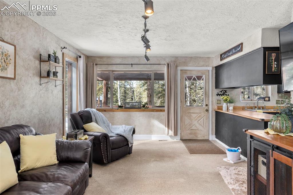 4076 Omer Lane Divide CO 80814