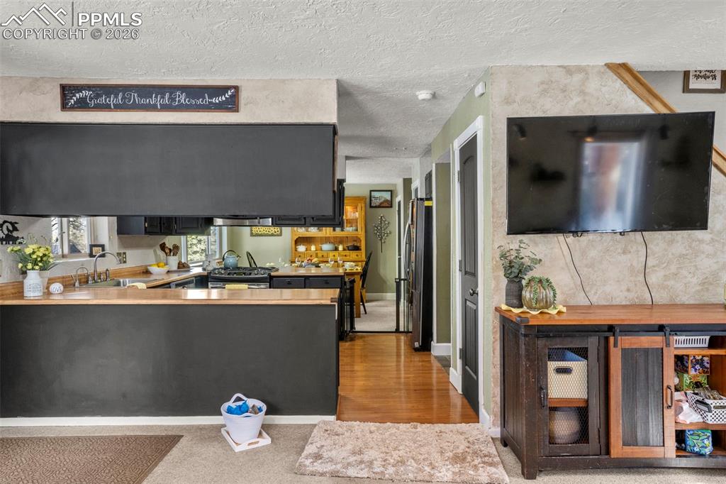 4076 Omer Lane Divide CO 80814