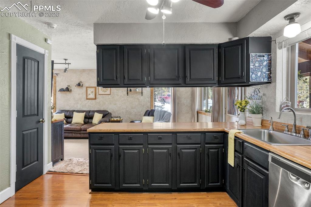 4076 Omer Lane Divide CO 80814