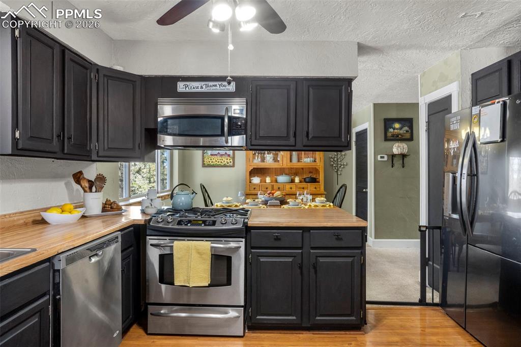 4076 Omer Lane Divide CO 80814