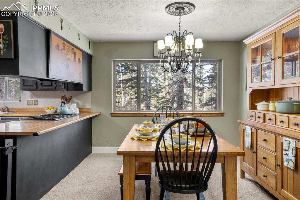 4076 Omer Lane Divide CO 80814