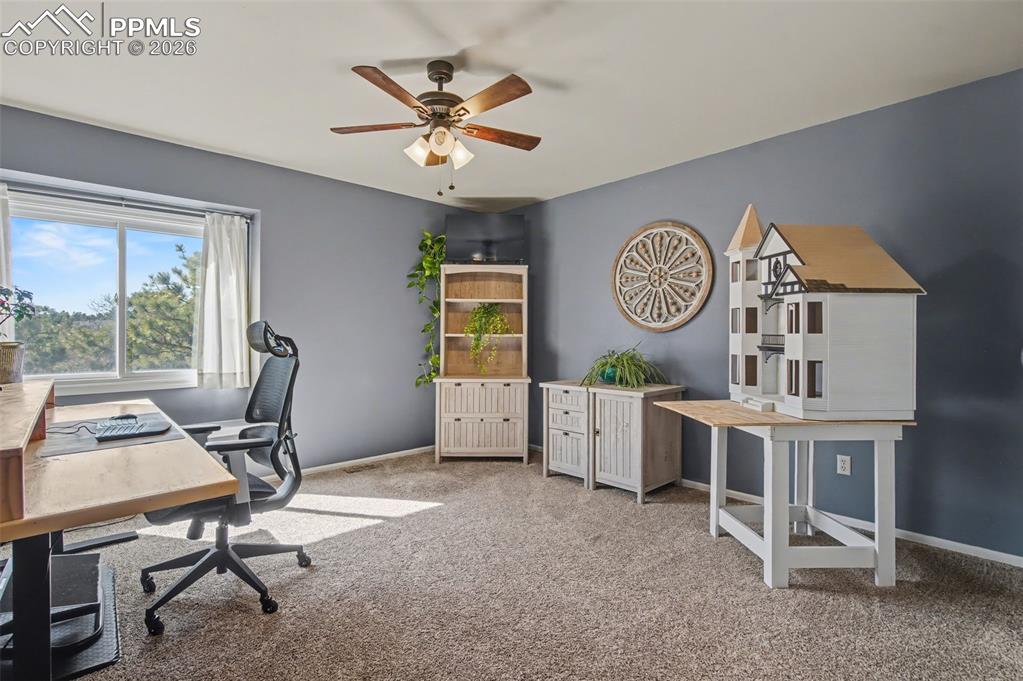 1375 Blueberry Hills Road Monument CO 80132