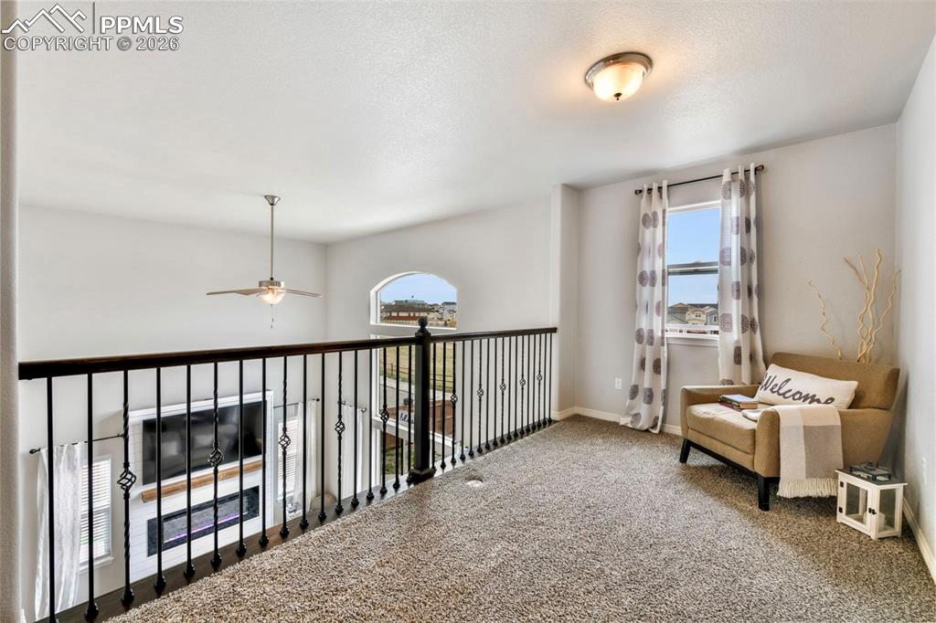 10751 Shavano Peak Court Peyton CO 80831