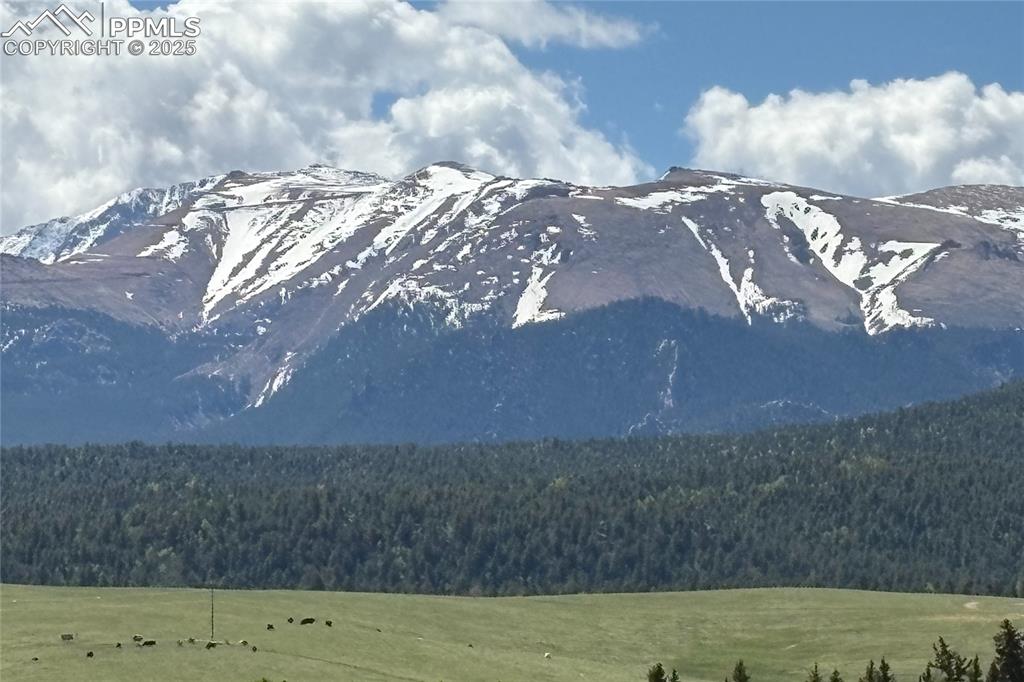 407 Meadow Park Drive Divide CO 80814