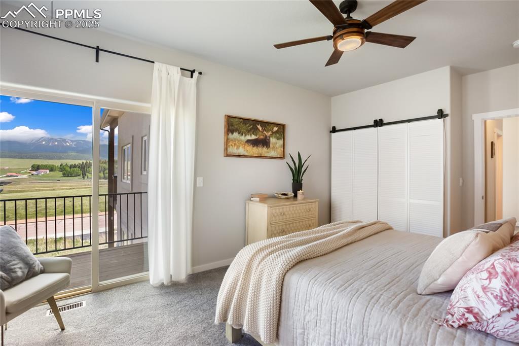 407 Meadow Park Drive Divide CO 80814