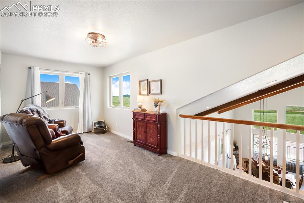 407 Meadow Park Drive Divide CO 80814