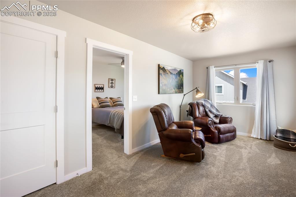 407 Meadow Park Drive Divide CO 80814
