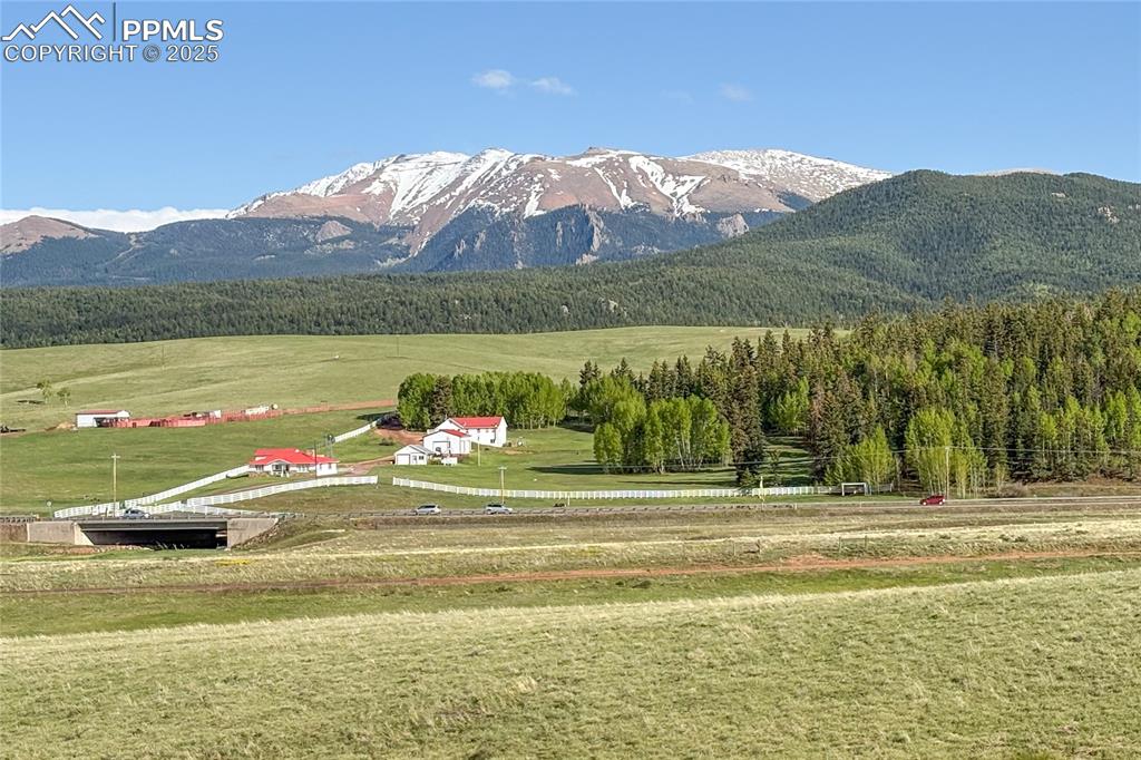 407 Meadow Park Drive Divide CO 80814