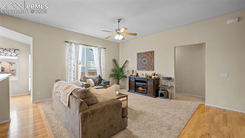 4774 San Amels Way Colorado Springs CO 80911