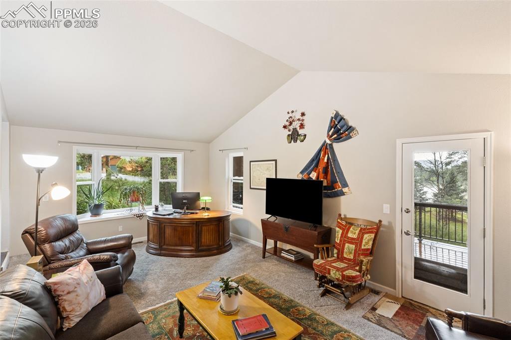 2020 Valley View Drive Woodland Park CO 80863
