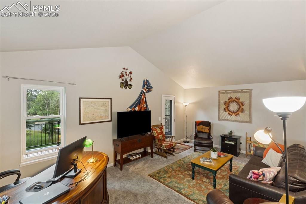 2020 Valley View Drive Woodland Park CO 80863