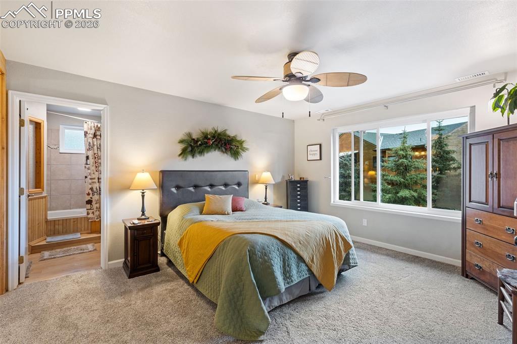 2020 Valley View Drive Woodland Park CO 80863