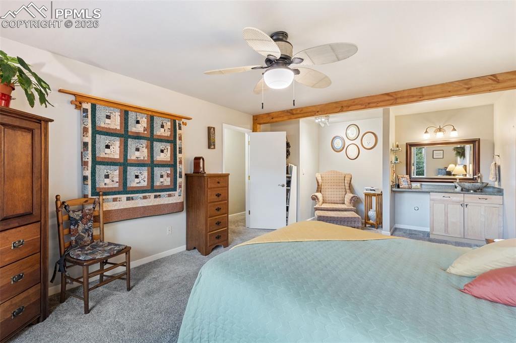 2020 Valley View Drive Woodland Park CO 80863