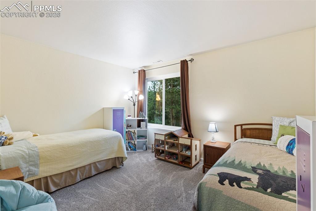 2020 Valley View Drive Woodland Park CO 80863