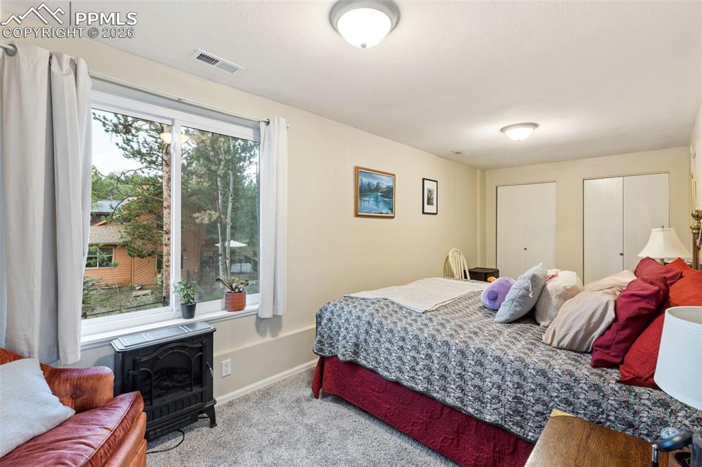2020 Valley View Drive Woodland Park CO 80863