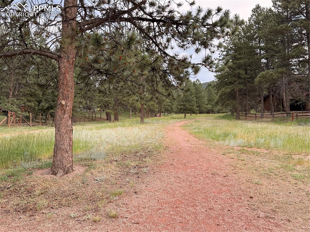 2020 Valley View Drive Woodland Park CO 80863