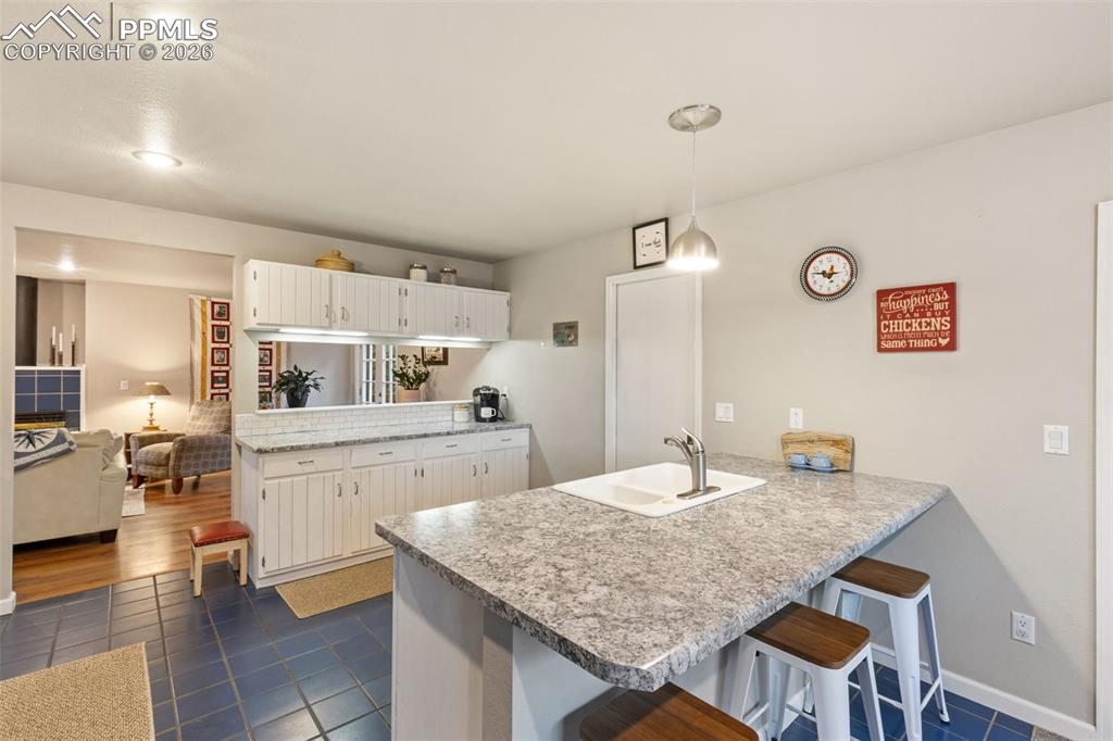 2020 Valley View Drive Woodland Park CO 80863