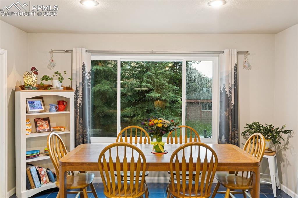 2020 Valley View Drive Woodland Park CO 80863