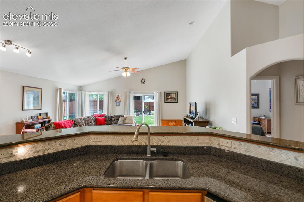 10487 Mount Evans Drive Peyton CO 80831