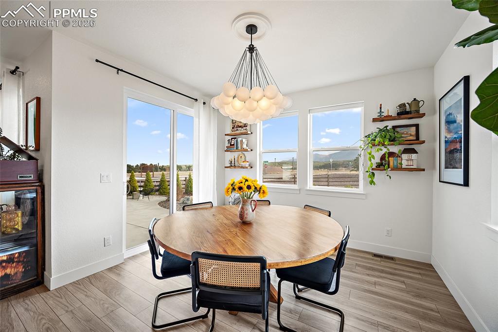 15510 Native Willow Drive Monument CO 80132