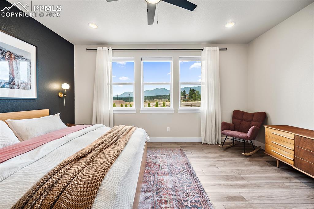 15510 Native Willow Drive Monument CO 80132