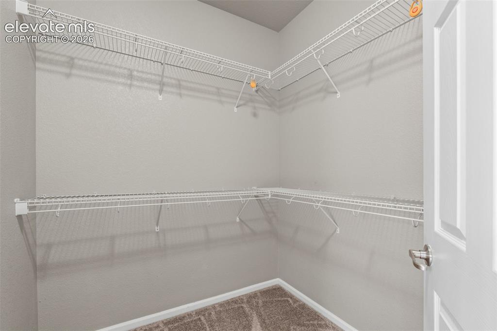 10832 Darneal Drive Fountain CO 80817