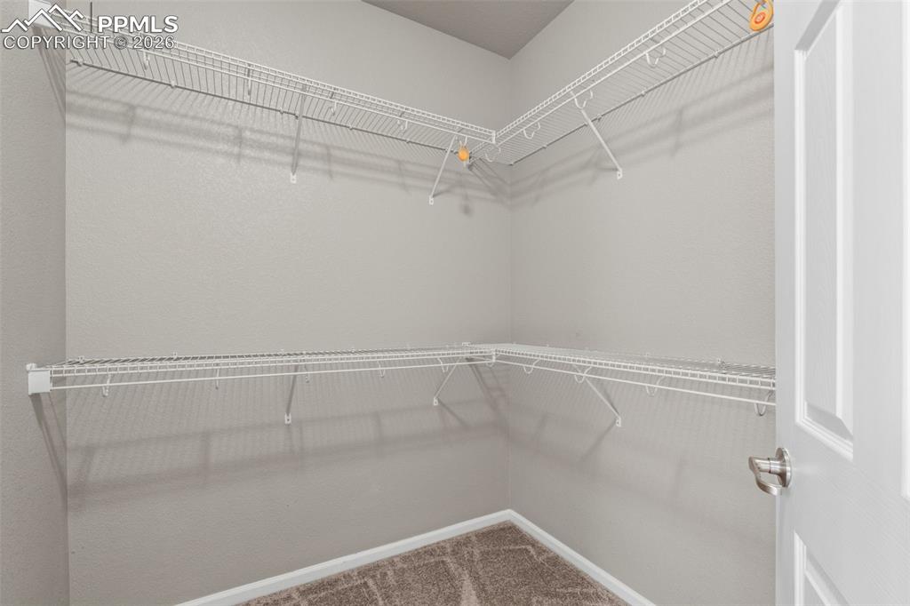 10832 Darneal Drive Fountain CO 80817