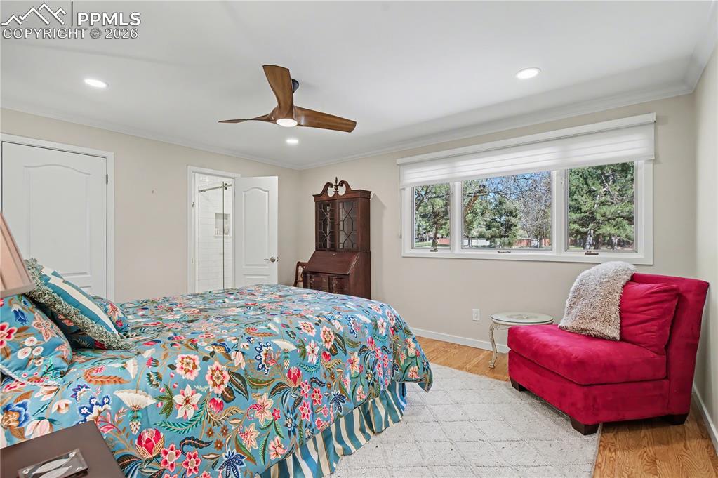 2725 Fox Grove Court Colorado Springs CO 80906