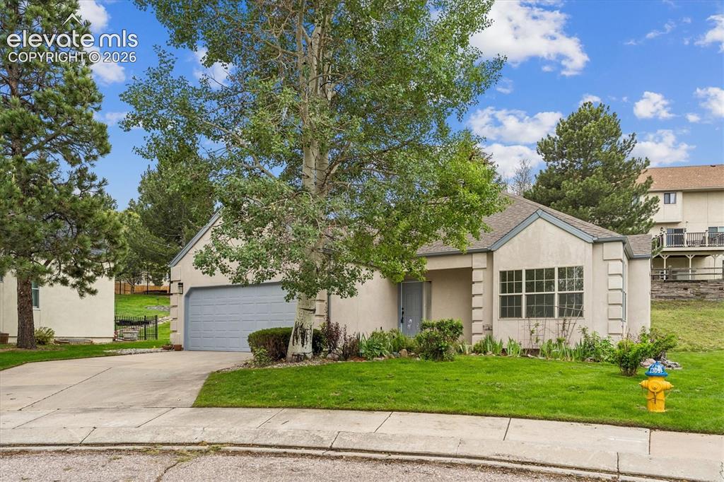 5715 Velvet Court Colorado Springs CO 80918