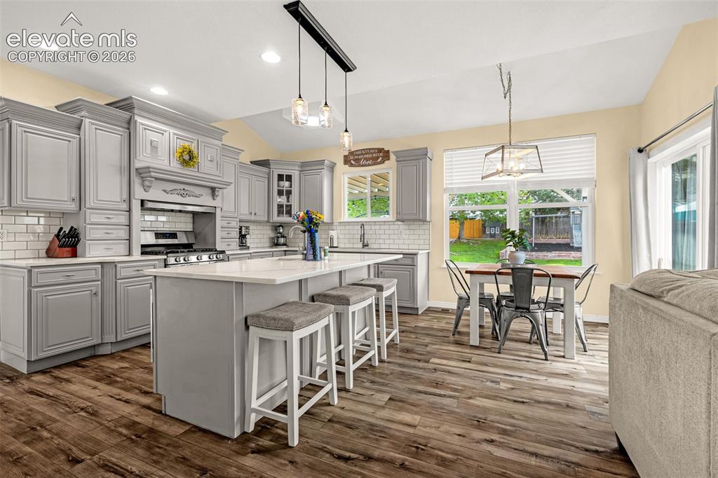 16128 Amber Rock Court Parker CO 80134
