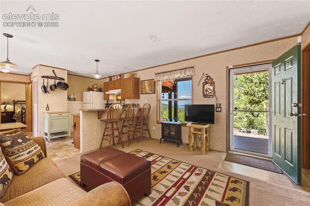 9525 S Highway 67 Divide CO 80814