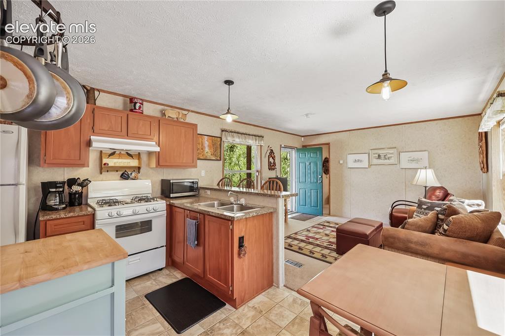 9525 S Highway 67 Divide CO 80814