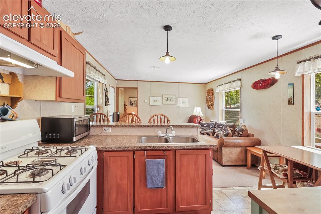 9525 S Highway 67 Divide CO 80814