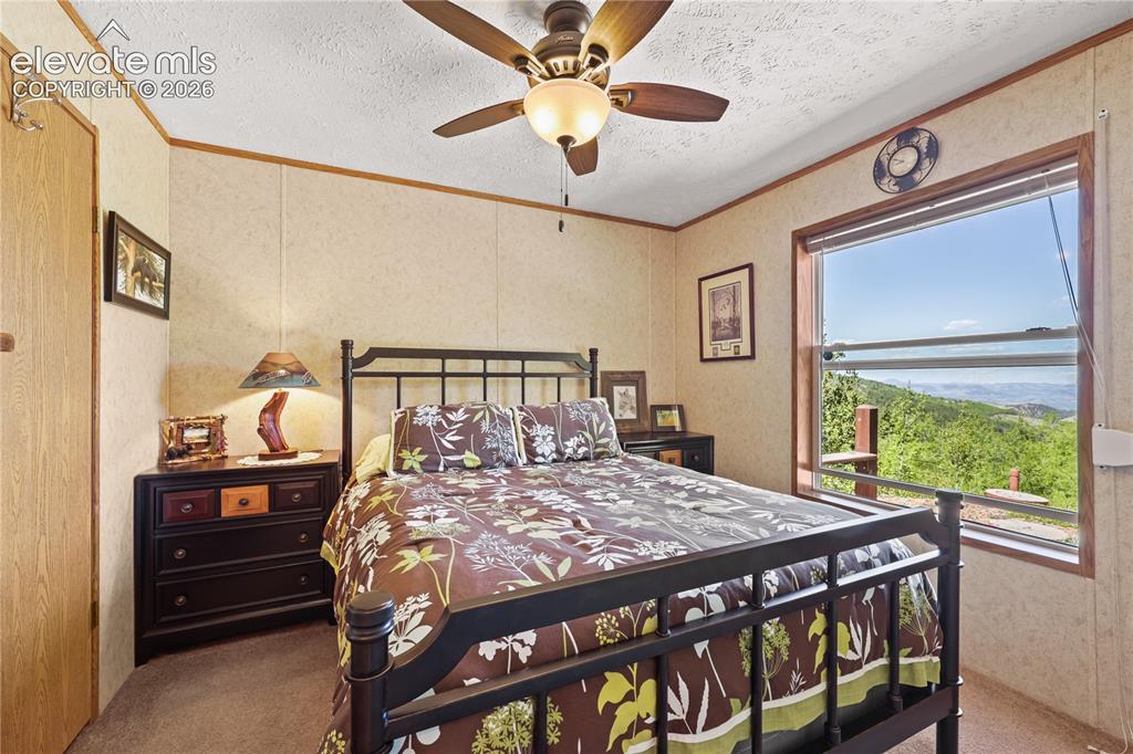 9525 S Highway 67 Divide CO 80814