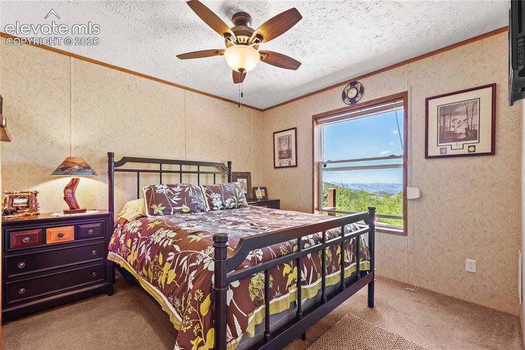 9525 S Highway 67 Divide CO 80814