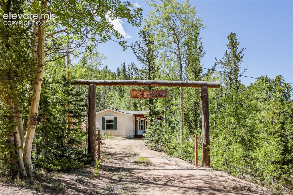 9525 S Highway 67 Divide CO 80814
