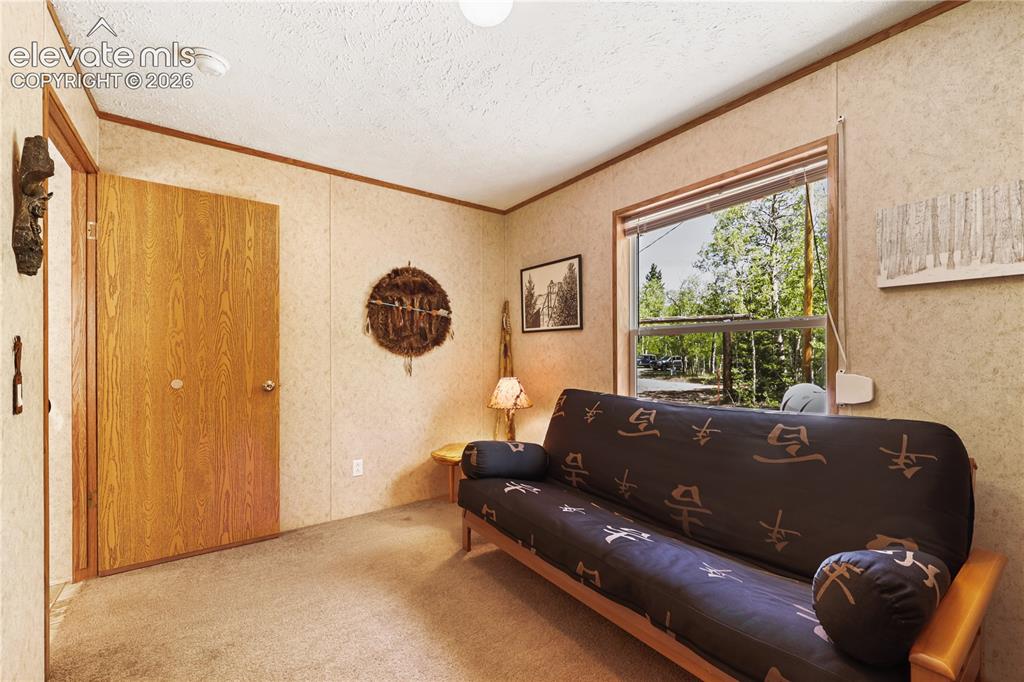 9525 S Highway 67 Divide CO 80814