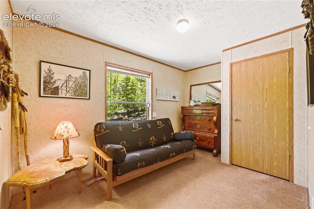 9525 S Highway 67 Divide CO 80814