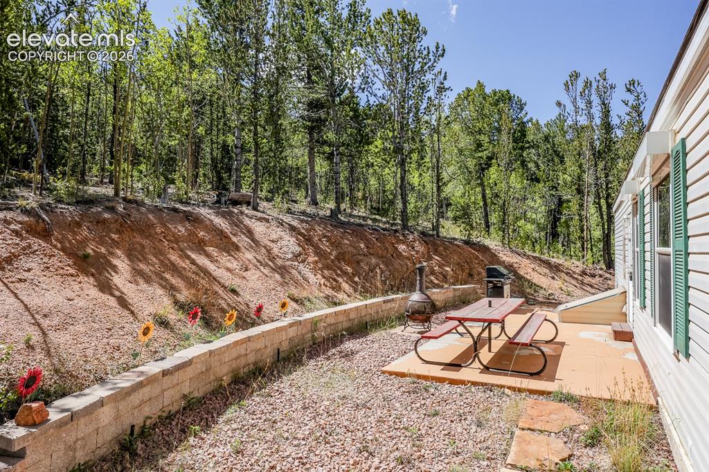 9525 S Highway 67 Divide CO 80814