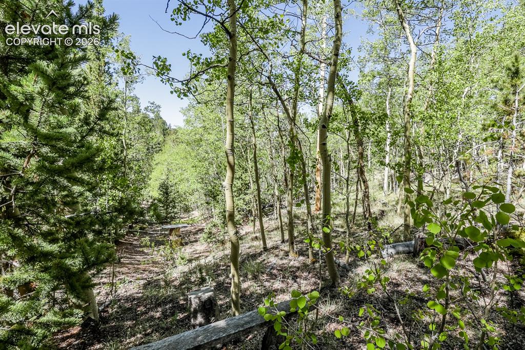 9525 S Highway 67 Divide CO 80814
